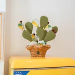 Casa de Férias Le Tre Muse